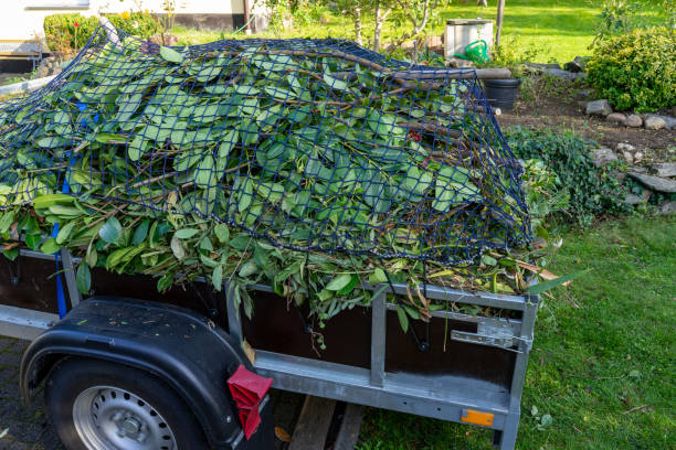 Best Carpet Removal and Disposal  in Newfoundland, NJ